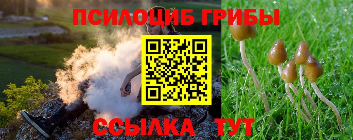 Галлюциногенные грибы прущие грибы Кашира